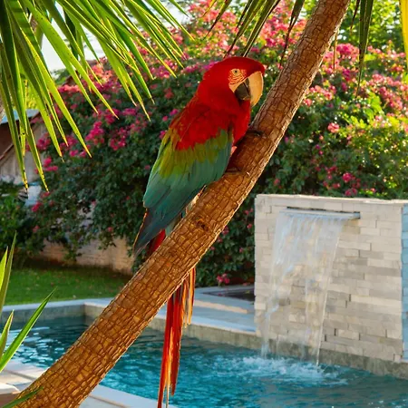 Casa de Campo Mimosa Flor- 4quartos, 3banheiros, 15 minutos das Cataratas e Aeroporto, piscina, churrasqueira, bilhar, espaço ao ar livre privativo, calmo e tranquilo-3
